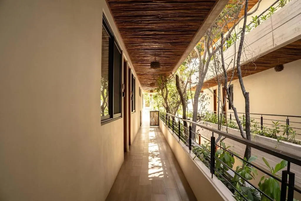 New 1 Bedroom - Tulum Apartment