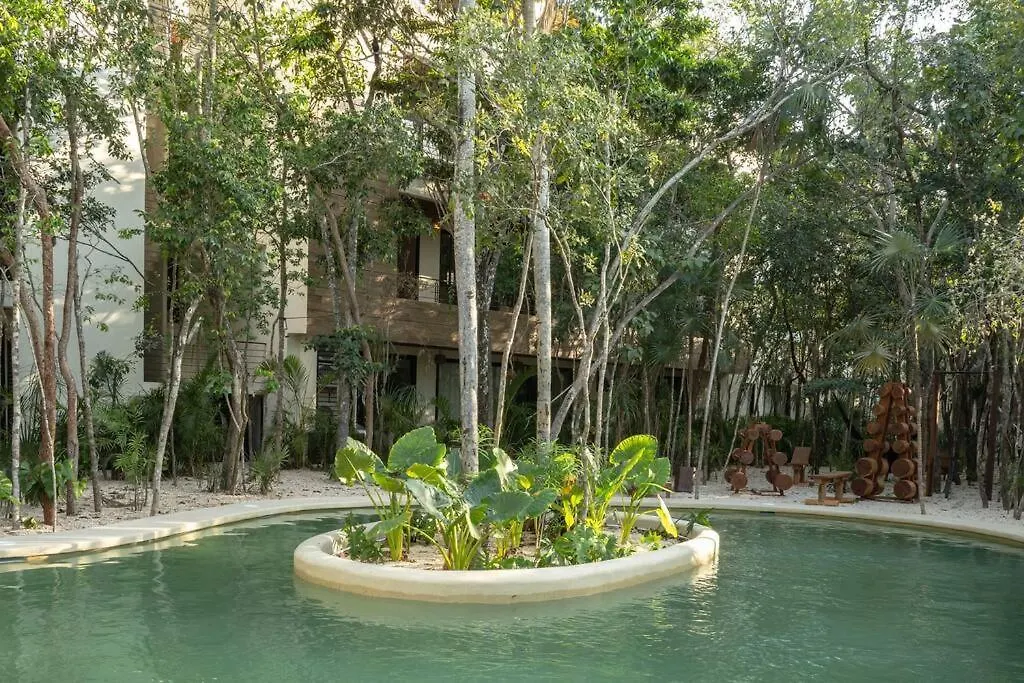 New 1 Bedroom - Tulum Apartment