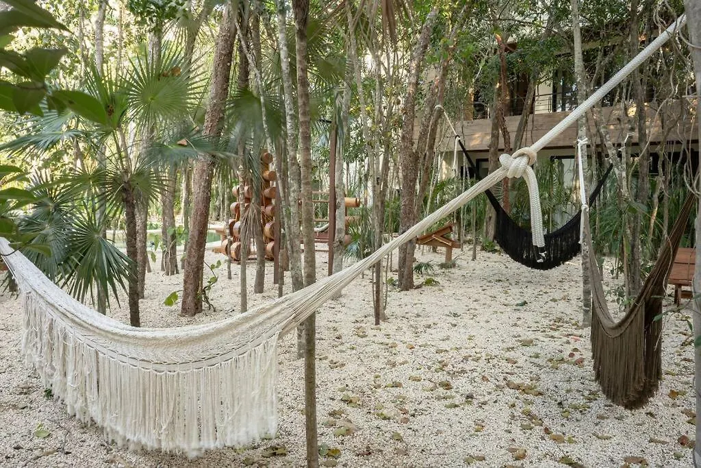 New 1 Bedroom - Tulum 0*,